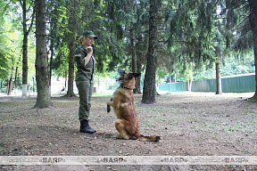 Военно-профессиональный конкурс на лучшего специалиста служебного собаководства Вооружённых Сил «Верный друг»