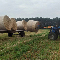Военнослужащие 11 омбр оказывают помощь аграриям