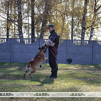 Профориентационная акция прошла в Жодино