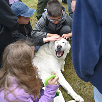 В рамках военно-патриотического воспитания 
