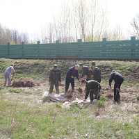 На субботник - всей семьёй! 