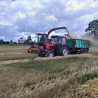 Военнослужащие 36 дмостбр продолжают оказывать помощь аграриям в уборке урожая