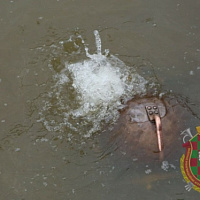  Водолаз не ищет клады: классность – вот что ему надо! 