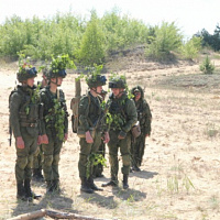 Управляемым — огонь!