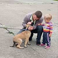 Кинологическому центру Вооружённых Сил — 29 лет