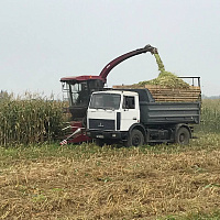 Военнослужащие оказывают помощь в уборке урожая хозяйствам Жлобинского района