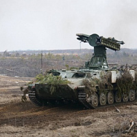 Гвардейцы с задачей справились