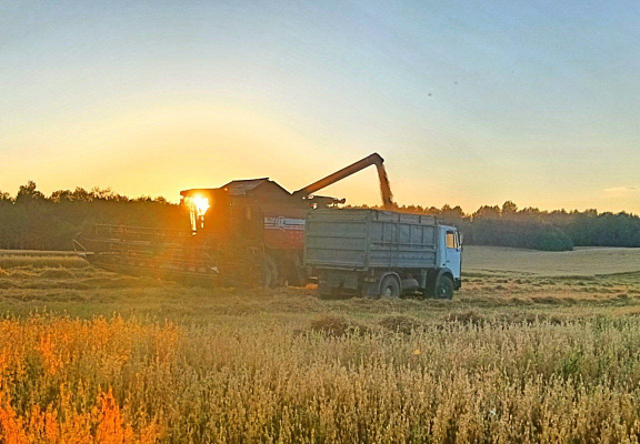 Военнослужащие продолжают оказывать помощь в уборке урожая