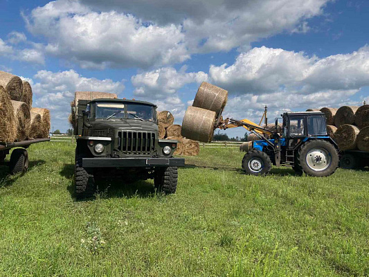 Военнослужащие 36 дмостбр продолжают оказывать помощь аграриям в уборке урожая