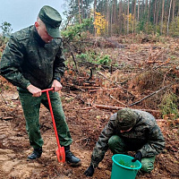 Белорусские военнослужащие продолжают участвовать в акции «Дай лесу новае жыццё!»