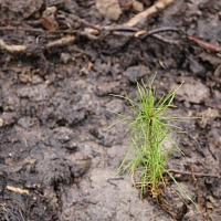 Дело – нужное, польза – общая