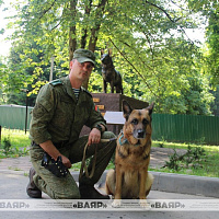 Военно-профессиональный конкурс на лучшего специалиста служебного собаководства Вооружённых Сил «Верный друг»