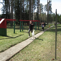 Быстрее, выше, сильнее!