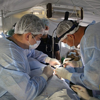 В сирийском Алеппо продолжает работу медицинский отряд специального назначения