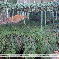 Военнослужащие одного из подразделений механизированной бригады выдвинулись из района сосредоточения в боевые порядки