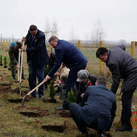 Цветы Великой Победы