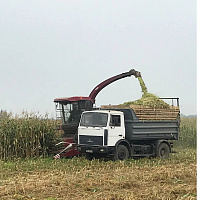 Военнослужащие продолжают помогать аграриям в уборке урожая