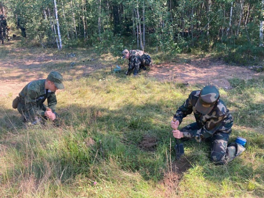 В рамках «курса молодого бойца»	