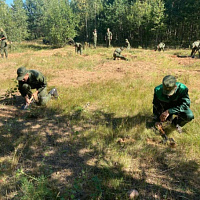 В рамках «курса молодого бойца»	