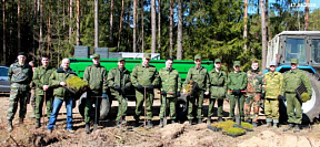 Военные приняли участие в посадке леса