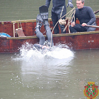 День народного единства и День части отметили в 188-й инженерной бригаде