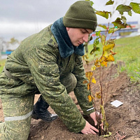 Следуя традициям