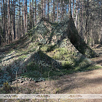 Контрольные занятия по тактико-специальной подготовке в войсках связи Вооружённых Сил