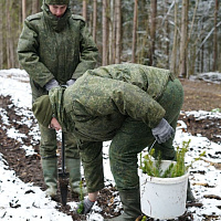 Республиканская добровольная акция «Аднавiм лясы разам!»