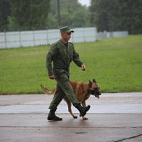 Настроены на высокий результат