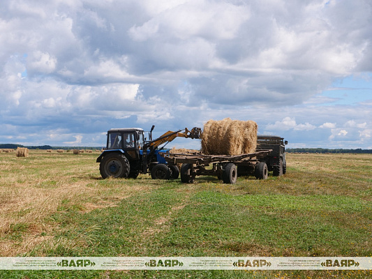 Сводный автомобильный взвод Вооружённых Сил помогает в уборке урожая