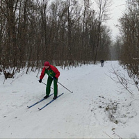 Занятие по лыжной подготовке