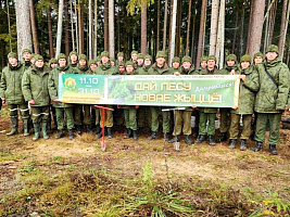 Военнослужащие 120 омбр приняли участие в акции «Дай лесу новае жыццё»