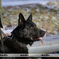  День открытых дверей, приуроченный к 77-летию 202-го  химмотологического центра горючего