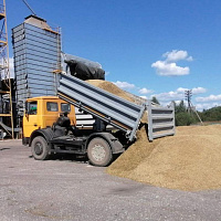 Белорусские военные продолжают оказывать помощь в уборке урожая