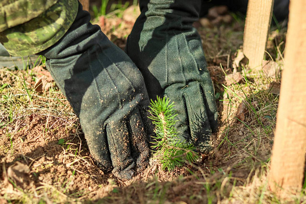 Военнослужащие 120 омбр приняли участие в субботнике