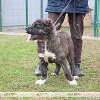 Молодежная квиз-игра «Я и профсоюз: Мы вместе»