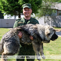 Военнослужащие кинологического центра Вооружённых сил со своими воспитанниками