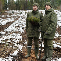 Республиканская добровольная акция «Аднавiм лясы разам!»