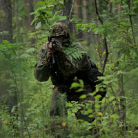 Упор — на практические занятия