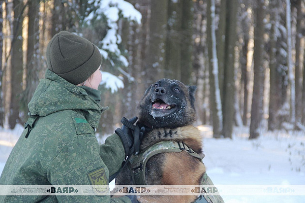 Фотофакт: военнослужащие кинологического центра Вооружённых сил со своими воспитанниками