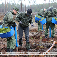 Военнослужащие Вооруженных Сил Беларуси участвуют в добровольной общественной акции «Лес! Дабро! Парадак!»