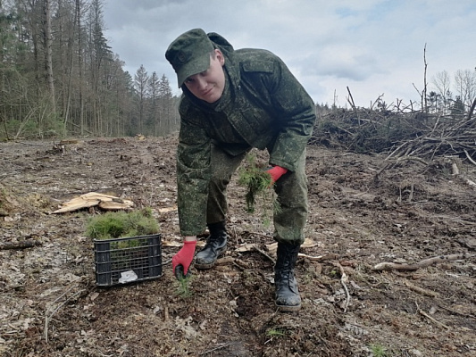 Лес – это наше богатство!