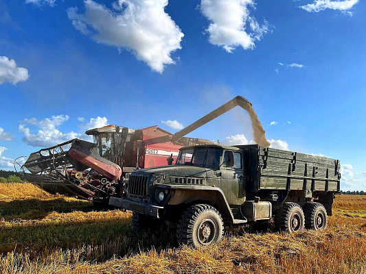 Военнослужащие продолжают помогать аграриям в уборке урожая