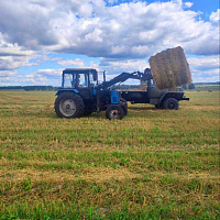 Белорусские военнослужащие продолжают оказывать помощь в уборке урожая