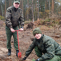 Военнослужащие Вооружённых Сил продолжают участвовать в республиканской акции «Дай лесу новае жыццё»