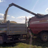 Белорусские военные продолжают оказывать помощь в уборке урожая