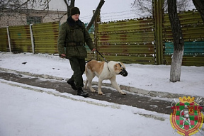 Они всегда начеку