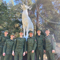 Получили положительные эмоции