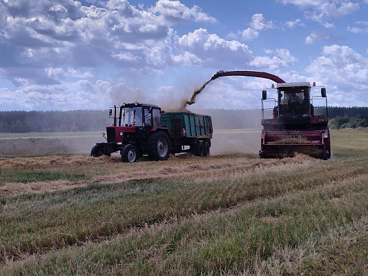 Военнослужащие 36 дмостбр продолжают оказывать помощь в уборке урожая