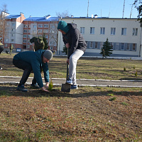 Брестские десантники присоединились к Республиканской акции «Неделя леса»